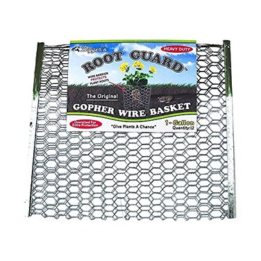 Digger's 1-Gallon Heavy-Duty Gopher Wire Basket, 12 Baskets