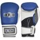 Ringside IMF Tech Boxing MMA Training Bag Gloves, Large, Blue