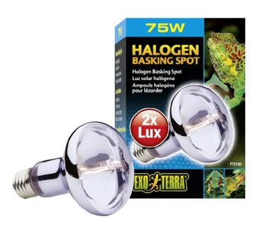 Exo Terra Sun Glo Halogen Basking Spot Lamp