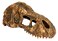 Exo Terra T-Rex Skull, Small