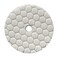Chemical Guys, Hex-Logic Quantum Light-Medium Polishing Pad, White, 6.5 in