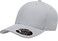 Flexfit Men's 110 CoolDry Athletic Cap, Silver One Size