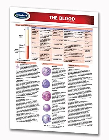 Permacharts The Blood - Human Blood Guide - 8.5" x 11" Laminated Medical Quick Reference Guide by