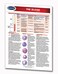 Permacharts The Blood - Human Blood Guide - 8.5" x 11" Laminated Medical Quick Reference Guide by