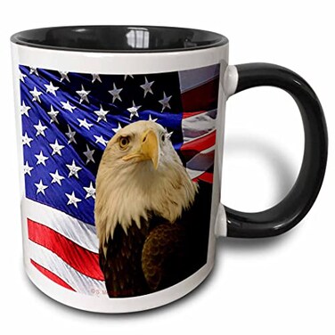 3dRose Sandy Mertens Patriotic - Bald Eagle 11oz Two-Tone Black Mug