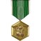 FindingKing Army Commendation Medal