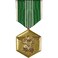 FindingKing Army Commendation Medal