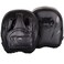 Venum Elite Mini Punch Mitts - Black/Black, One Size