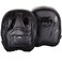 Venum Elite Mini Punch Mitts - Black/Black, One Size