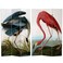 Red Lantern 6 ft. Tall Double Sided Audubon HeronFlamingo Canvas Room Divider 3 Panel Freestanding Folding Privacy Screen, Partition, and Separator for Modern and Contemporary Bedroom, Home Office