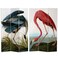 Red Lantern 6 ft. Tall Double Sided Audubon HeronFlamingo Canvas Room Divider 3 Panel Freestanding Folding Privacy Screen, Partition, and Separator for Modern and Contemporary Bedroom, Home Office