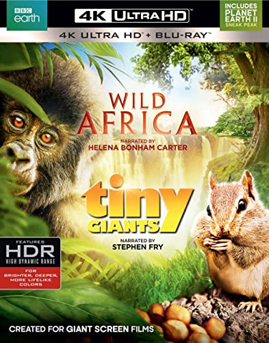 bbc Bbc Wild Africa Tiny Giants 4k