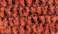 Hareline Fly Tying Variegated Chenille Medium - Medium, Fl Orange/Black