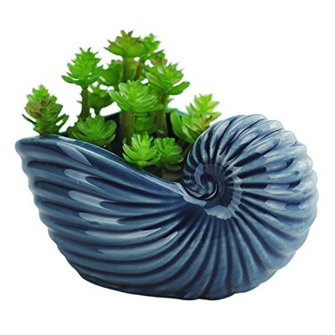 VanEnjoy 5" Ceramic Succulent Pot - Ocean Blue Seashell Series, Conch Shaped Cactus Planter - Cute Shell Soap Container HolderVase Dish