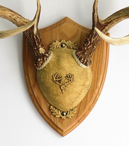 taxidermistswoodshop Taxidermistswoodshop Ultimate Antler Mounting Kit