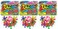 JA-RU Rainbow Jax Toy Set ,3 PackBig Plastic Jacks Game with Ball 731-3A