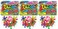 JA-RU Rainbow Jax Toy Set ,3 PackBig Plastic Jacks Game with Ball 731-3A