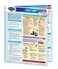Permacharts First Aid Guide - Medical Quick Reference Guide by