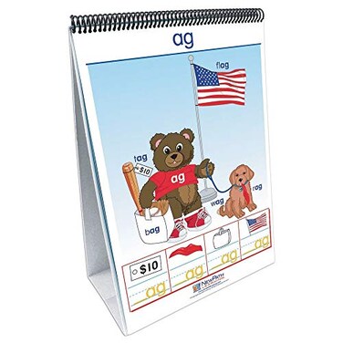 NewPath Learning Word Families Curriculum Mastery Flip Chart Set, Early Childhood