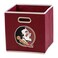 Franklin Sports NCAA Storage Bin - Cube Organizer - FSU