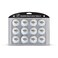 Team Golf Nashville Predators Golf Balls Dozen Pack