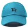 DALIX Turtle Hat Nature Womens Baseball Cap in Teal
