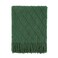 BOURINA Green Throw Blanket 50x60 Inch Boho Knitted Soft Throw Sofa Blanket