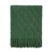BOURINA Green Throw Blanket 50x60 Inch Boho Knitted Soft Throw Sofa Blanket