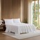 Lacoste 100% Cotton Percale 4-Piece Sheet Set, White, King