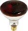 Satco S4751 Medium Light Bulb in Bronze/Dark finish, 5.31 inches