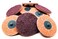 Benchmark Abrasives 3 Inch Sanding Discs Quick Change Nylon Surface Conditioning Discs, DrillDie Grinder Sanding Disc Rust Remover for Metal Paint StripperRemoval, Polishing - ,25 Pack,Medium