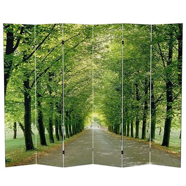 Red Lantern Double Sided Path of Life Canvas Folding Screen, 6 Foot - 6 Panel