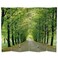 Red Lantern Double Sided Path of Life Canvas Folding Screen, 6 Foot - 6 Panel