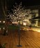 Lightshare Lighted Cherry Blossom Tree ,8FT WarmWhite