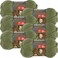 Bernat Softee Chunky Yarn ,6-PackForest 161128-28243