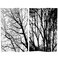 Red Lantern 6 ft. Tall Double Sided Woodland Symphony Room Divider, Trees in Black/White