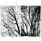 Red Lantern 6 ft. Tall Double Sided Woodland Symphony Room Divider, Trees in Black/White