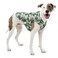 Kurgo Loft Dog Jacket, Pressed Leaf, Small