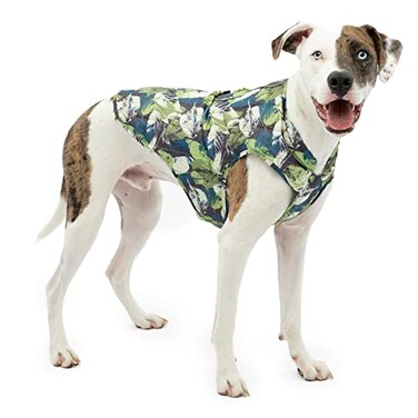 Kurgo Loft Dog Jacket, Pressed Leaf, Small