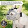 BARKLESS French Bulldog Muzzle, Full Panting Short Snout Mesh Muzzle