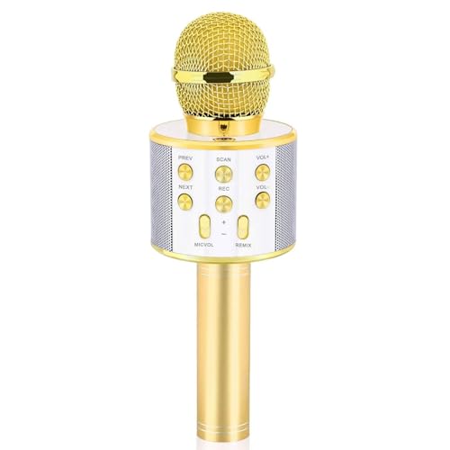 dodosky Dodosky Handheld Karaoke Microphone
