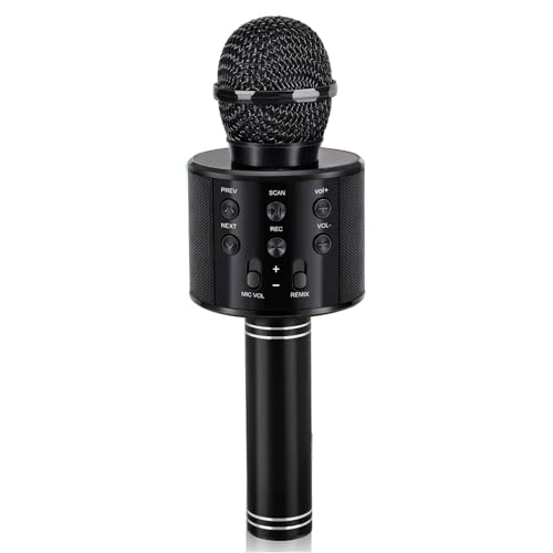 dodosky Dodosky Karaoke Microphone