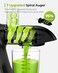 Jocuu Slow Masticating Juicer with 2-Speed Modes - Cold Press Juicer Machine - Quiet Motor &amp; Reverse Function - Easy to Clean Juicer Extractor - Juice Recipes for Fruits &amp; Vegetables (White)