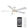 WAC Lighting Eclipse 5-Blade Aluminum Smart Ceiling Fan in Brass/Matte White