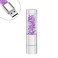 GARRULAX USB Flash Drive, 8GB / 16GB / 32GB USB2.0 USB Memory Stick Date Storage Pendrive Thumb Drives