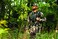 Hawke - Binocular Harness Pack