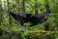 OneTigris KOMPOUND Camping Hammock with Net &amp; Inner Thermal Layer