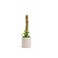 Mossify Bendable Moss Pole, 16'' Monstera