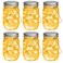 Mlambert Mason Jar Solar Lights -30 LED, 6 Pack Hanging Lantern, Warm White