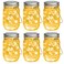 Mlambert Mason Jar Solar Lights -30 LED, 6 Pack Hanging Lantern, Warm White